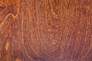 Similar image 2906128