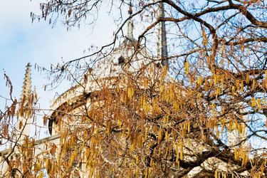 Similar image 2906228