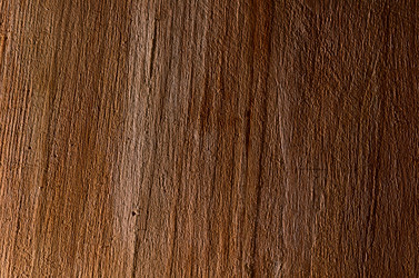 Similar image 2906287