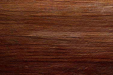 Similar image 2906322