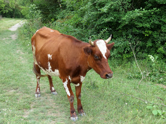 Similar image 2906351