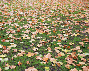 Similar image 2906498