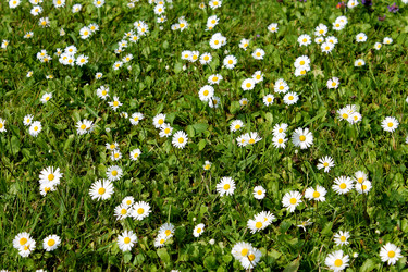 Similar image 2907110