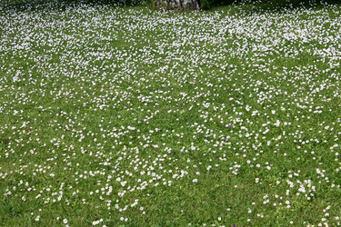 Similar image 2907111