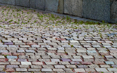 Similar image 2907161