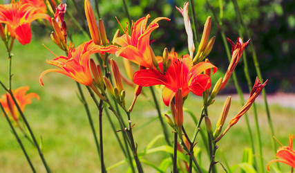 Similar image 2907167