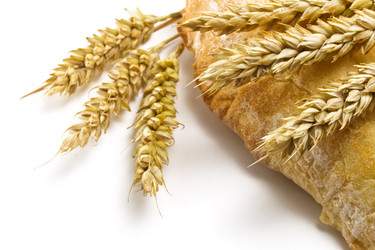 Similar image 2907182