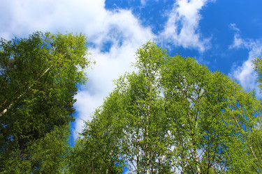 Similar image 2907241