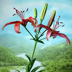 Similar image 2907285