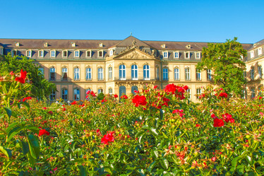 Similar image 2907308