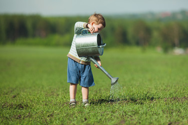 Similar image 2907390