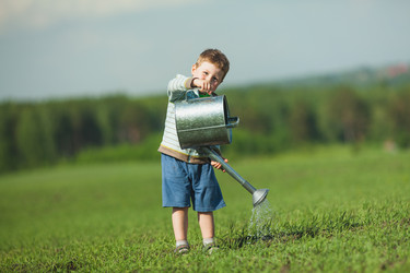 Similar image 2907401