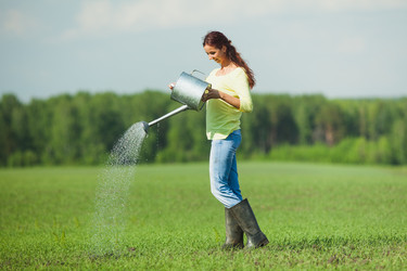 Similar image 2907403