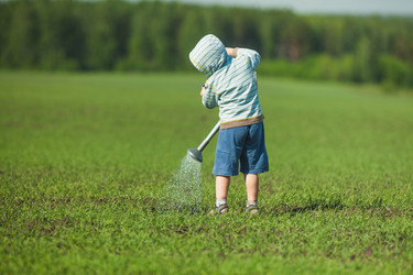 Similar image 2907404