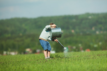 Similar image 2907409