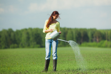 Similar image 2907411