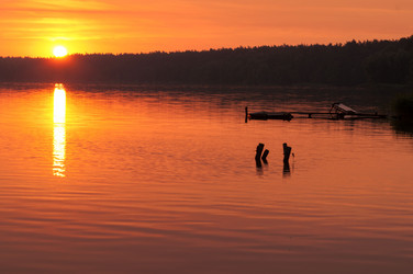 Similar image 2907416