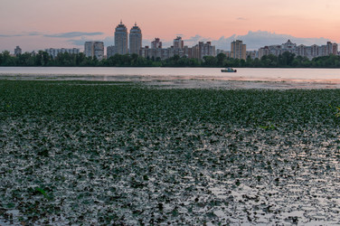 Similar image 2907418