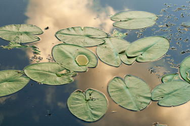 Similar image 2907426