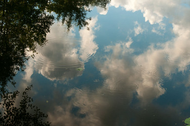 Similar image 2907434