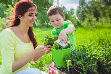 Similar image 2907436