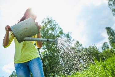 Similar image 2907437