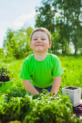 Similar image 2907438