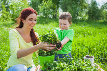 Similar image 2907443