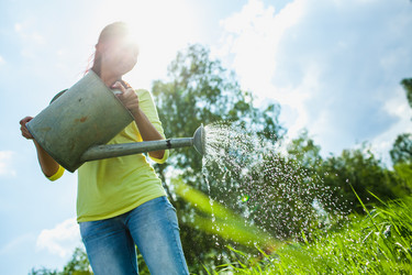 Similar image 2907445