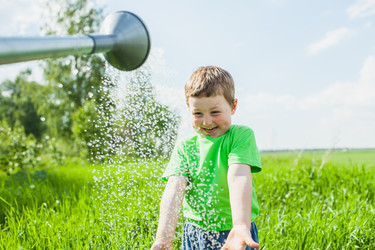 Similar image 2907453