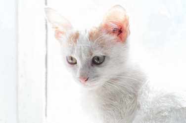 Similar image 2907463