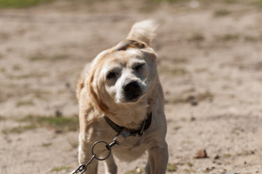 Similar image 2907464