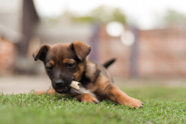 Similar image 2907492