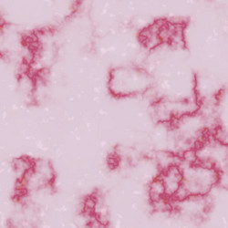 Similar image 2907659