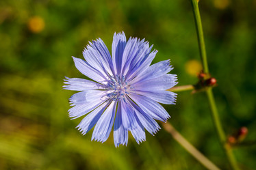 Similar image 2907817