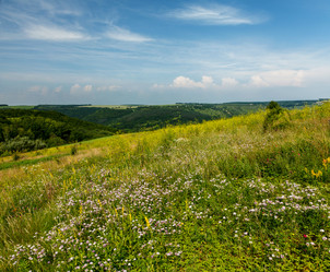 Similar image 2907818