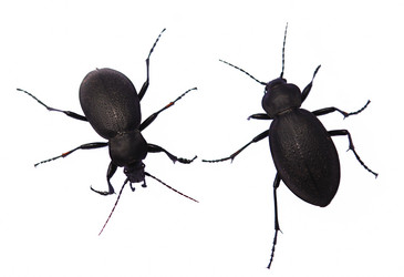 Similar image 2907936