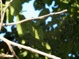 Similar image 2908297