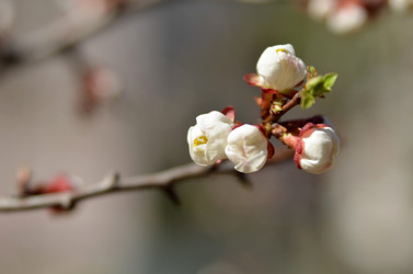 Similar image 2908298