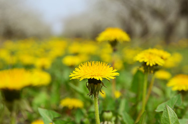 Similar image 2908302