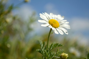 Similar image 2908303