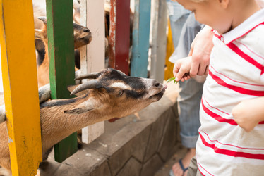 Similar image 2908498