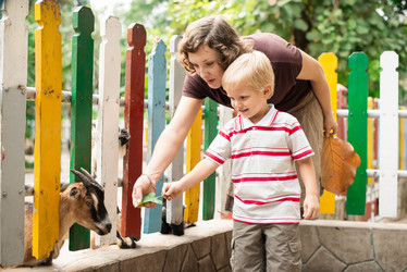 Similar image 2908499