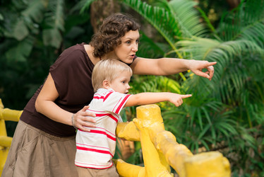 Similar image 2908527