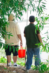 Similar image 2908963