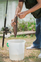 Similar image 2908977