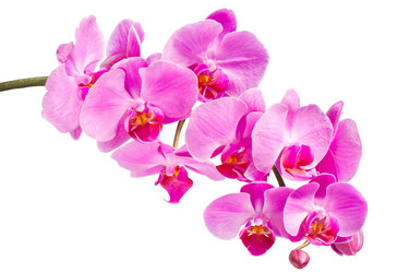 Similar image 2909051