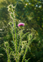 Similar image 2909056