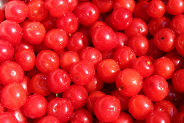 Similar image 2909057