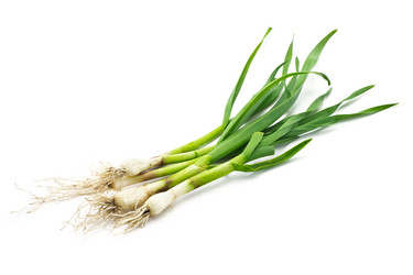 Similar image 2909064